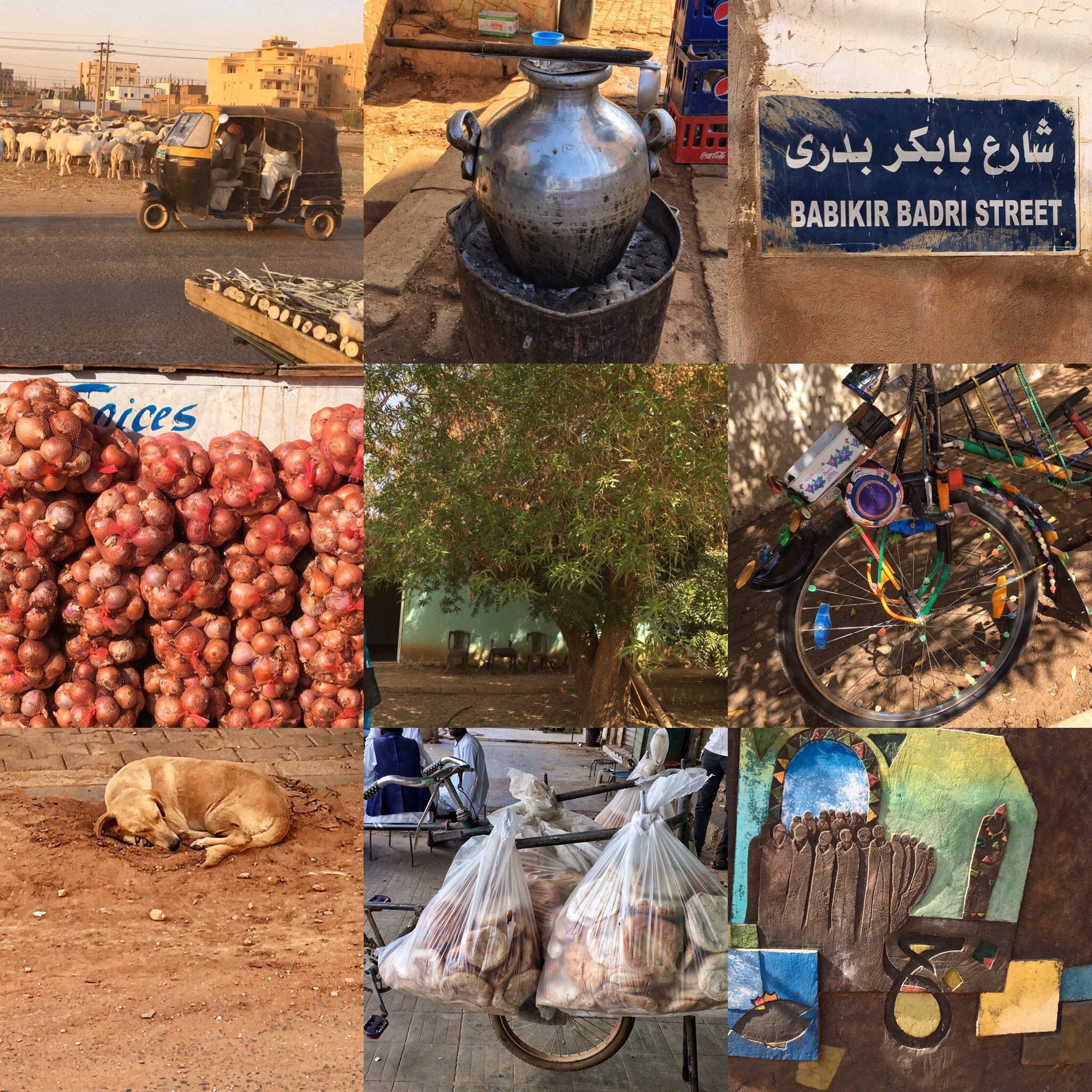 2e468095-63e7-4a2d-bc96-adbb1cc7d049